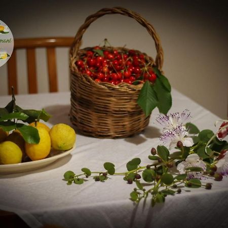 Zagare E Limoni Appartement Ostuni Buitenkant foto