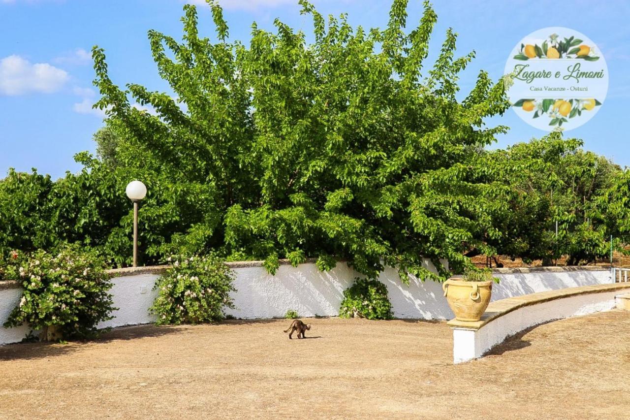 Zagare E Limoni Appartement Ostuni Buitenkant foto